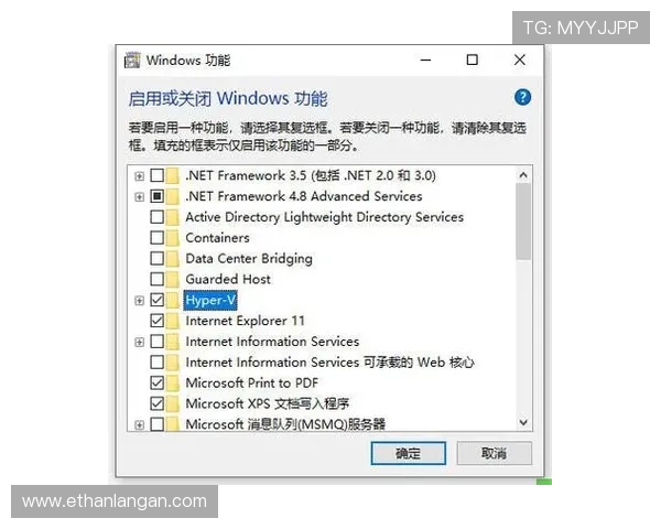 全面解析xwinbetapp官网的功能特色与使用流程，助你快速上手享受高效娱乐体验